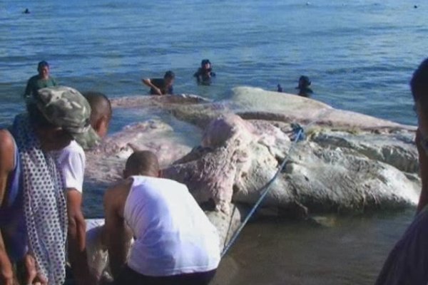 Kraken ссылка на сайт актуальная