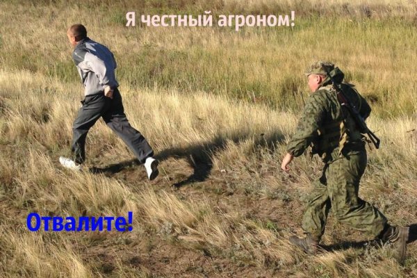 Как попасть на кракен с айфона