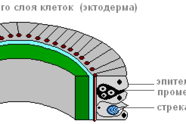 Кракен рабочая ссылка на сайт