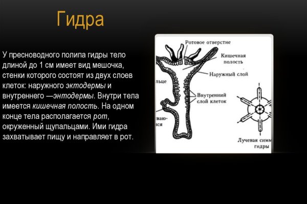 Клирнет ссылка на зеркало маркетплейс кракен
