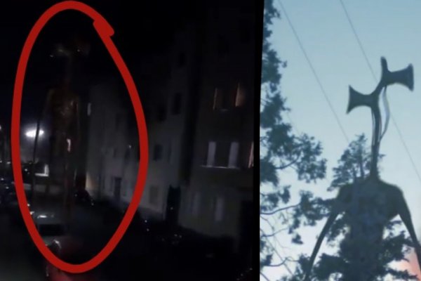 Даркнет заказ