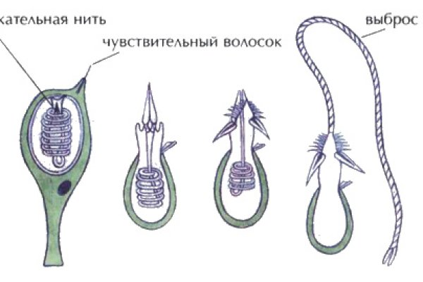 Как зайти на кракен тор