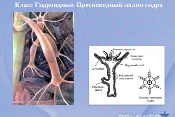 Кракен работает
